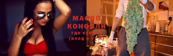 мдпв Гусев