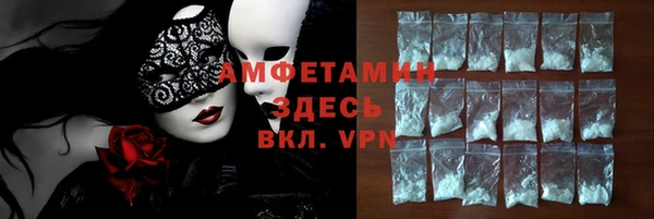 мдпв Гусев