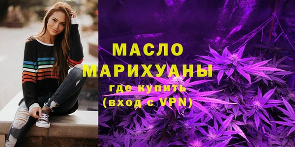 мдпв Гусев