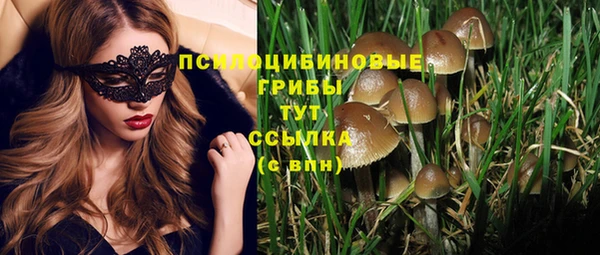 mdma Гусиноозёрск