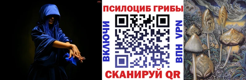 Купить закладки  Городище  Галлюциногенные грибы Psilocybine cubensis 